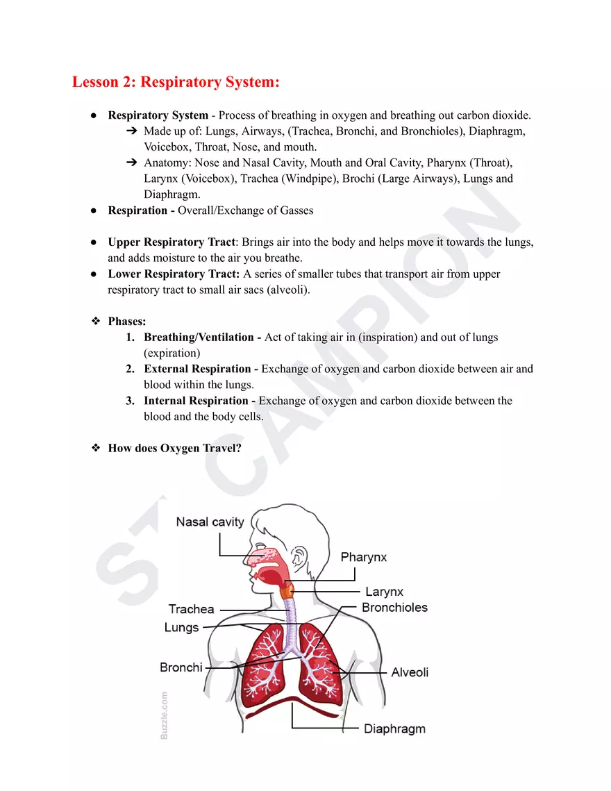 Science 1st Quarter Reviewer - Page 4