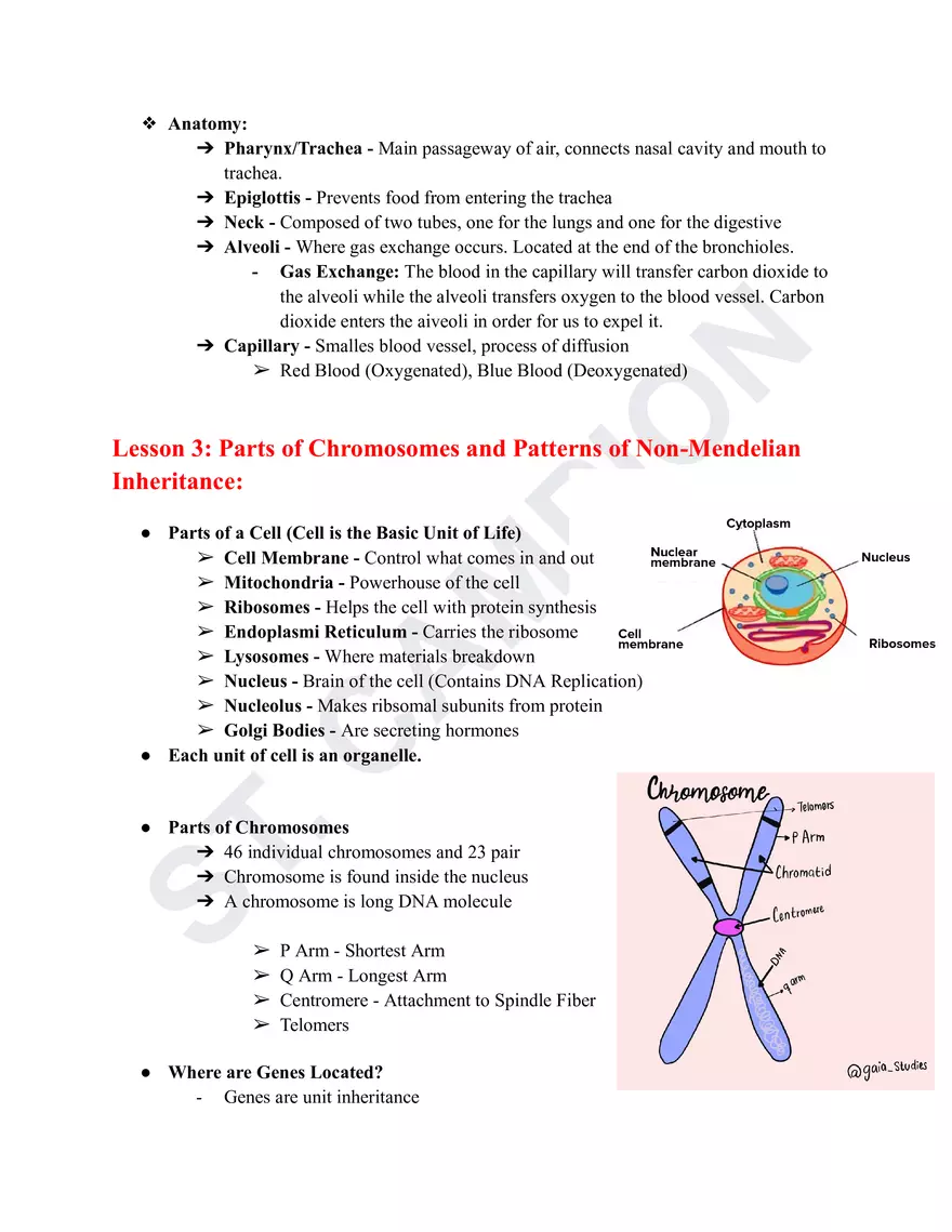 Science 1st Quarter Reviewer - Page 5
