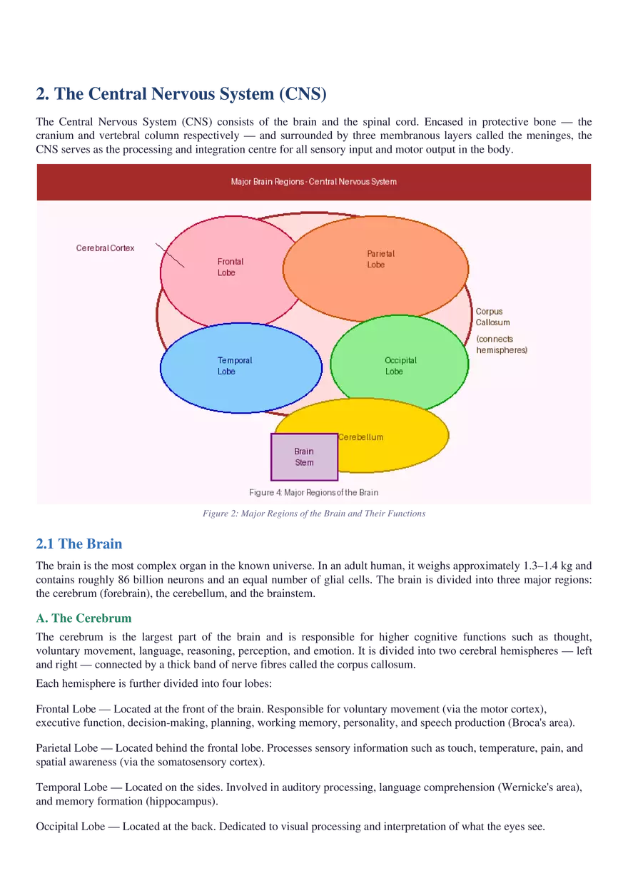 Structure, Function, Communication & Disorders - Page 9