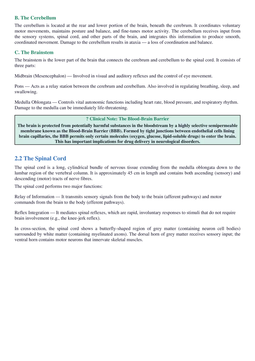 Structure, Function, Communication & Disorders - Page 10