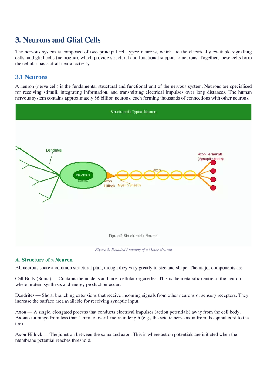 Structure, Function, Communication & Disorders - Page 11