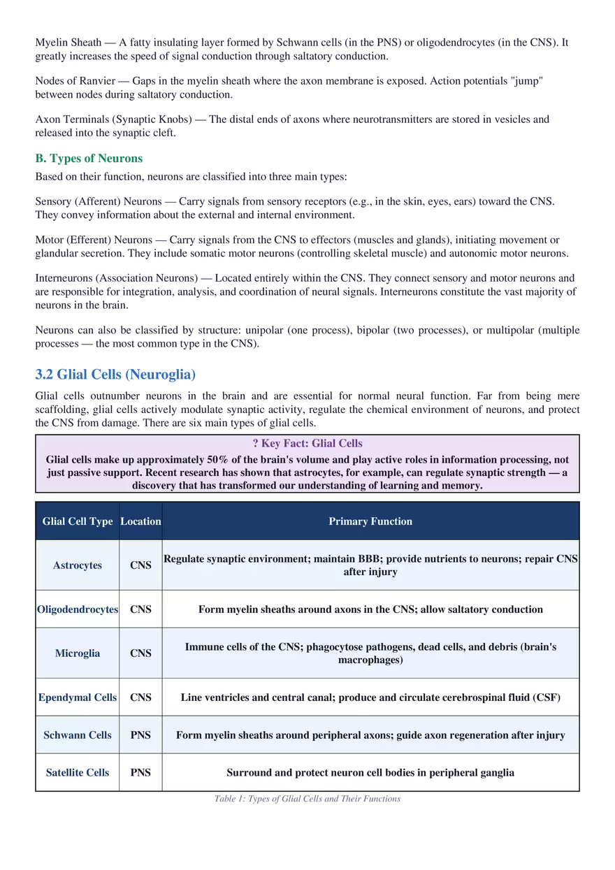 Structure, Function, Communication & Disorders - Page 12
