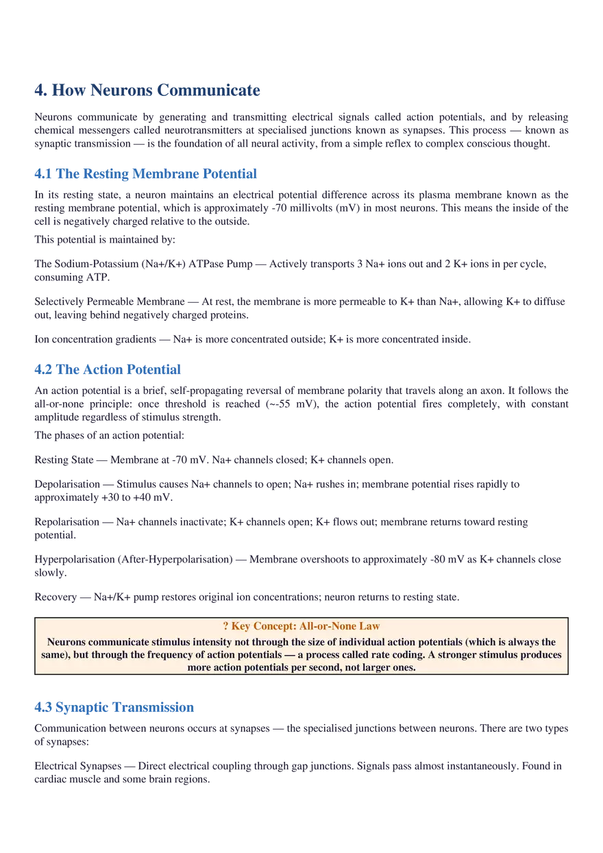 Structure, Function, Communication & Disorders - Page 13