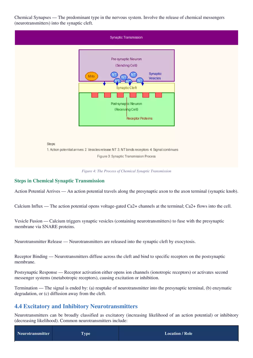 Structure, Function, Communication & Disorders - Page 14