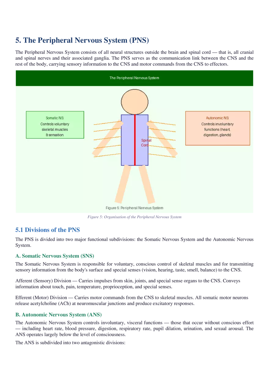 Structure, Function, Communication & Disorders - Page 16