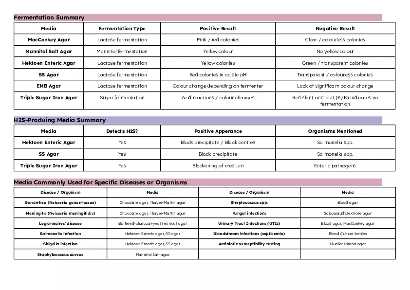 Types of Media Table - Page 4
