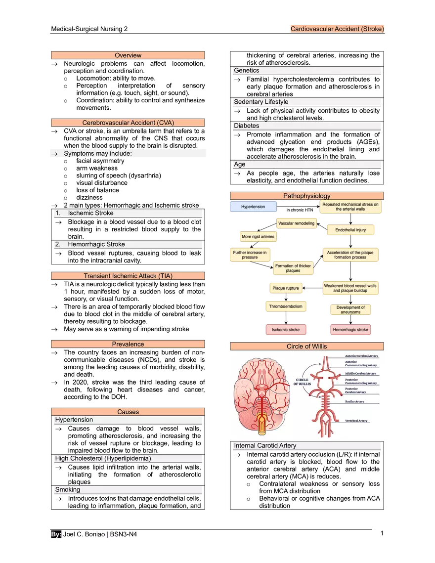 1. CVA - Page 1