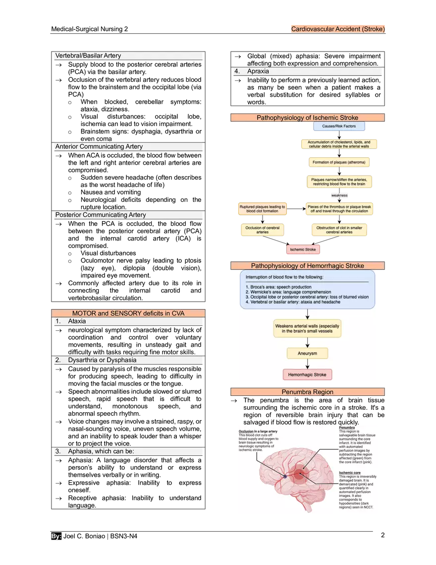 1. CVA - Page 2