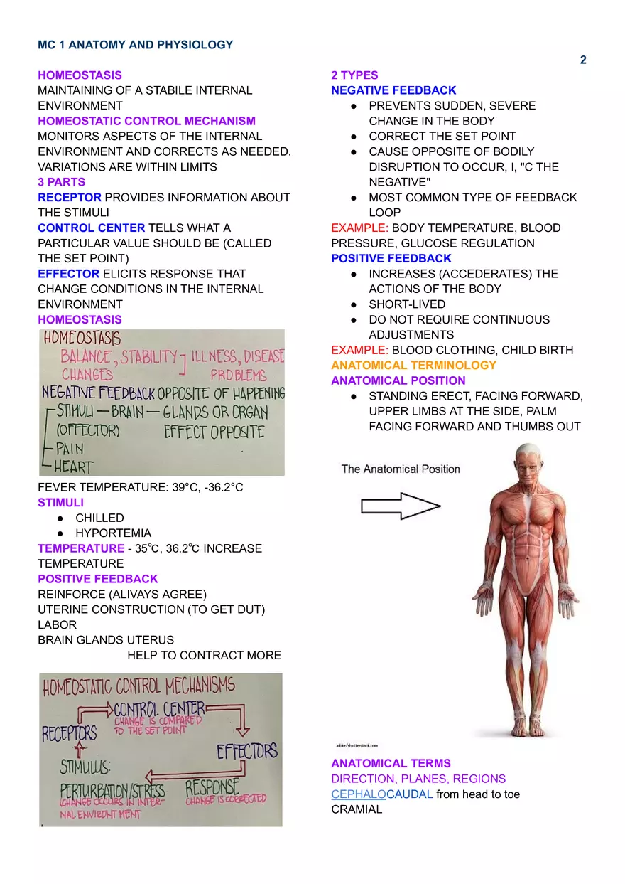 Level of Organization - Page 2