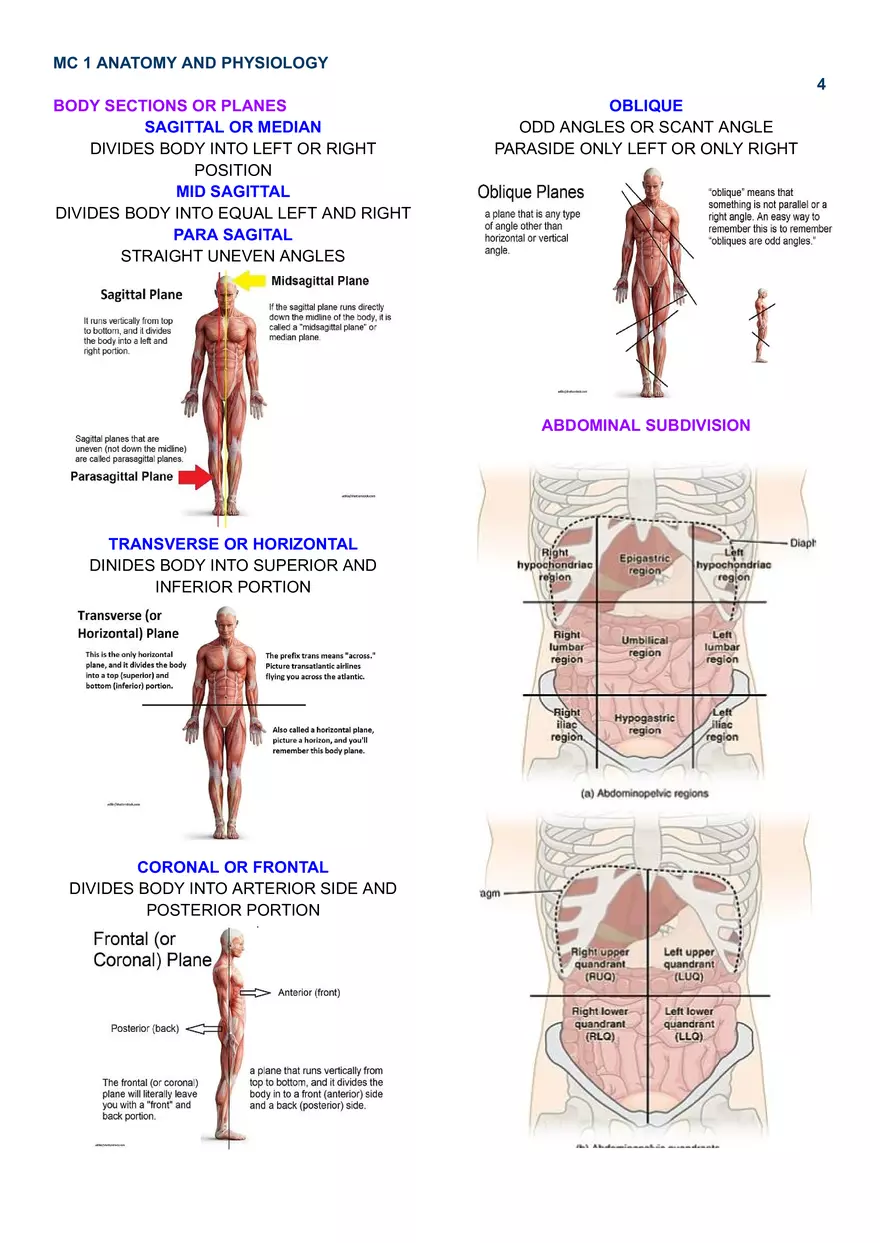 Level of Organization - Page 4