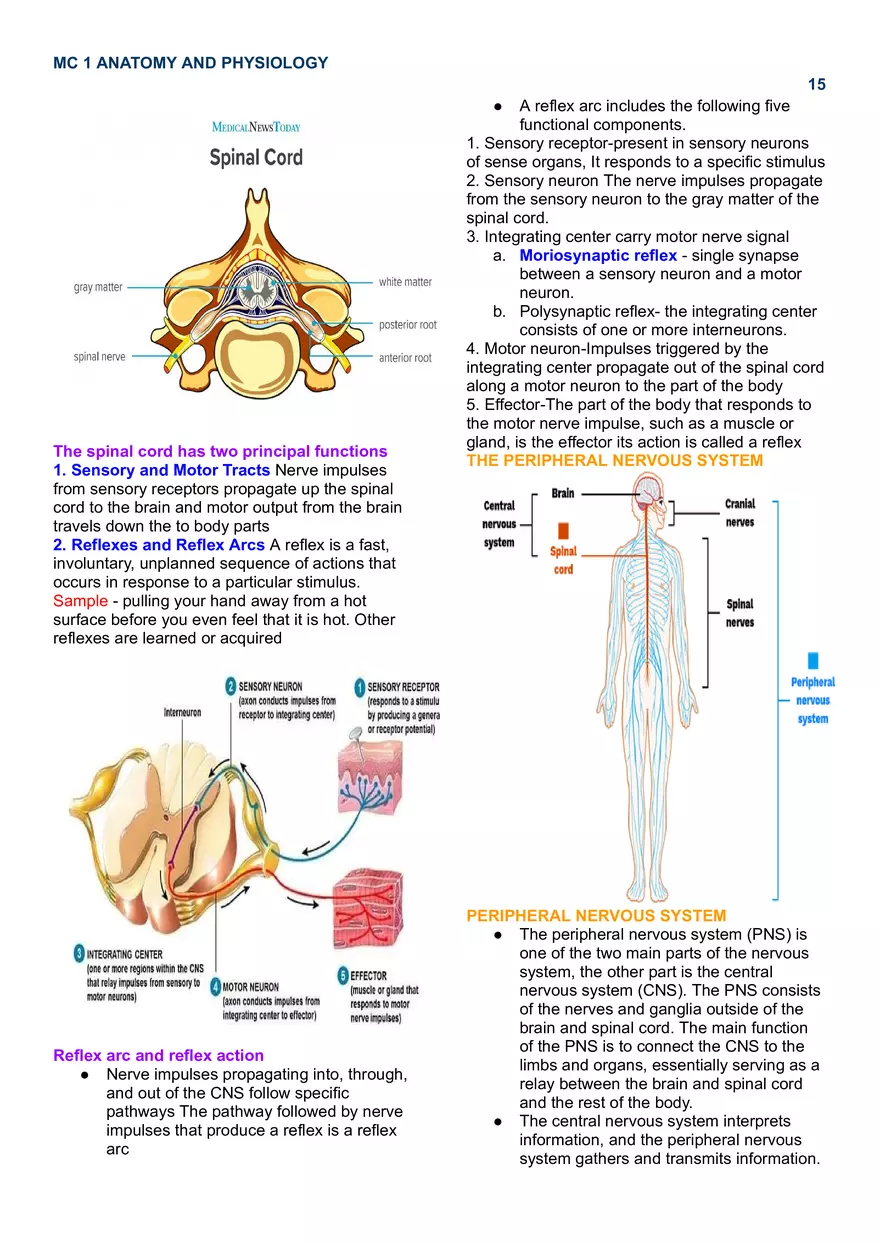 MC 1 Nervous System - Page 7