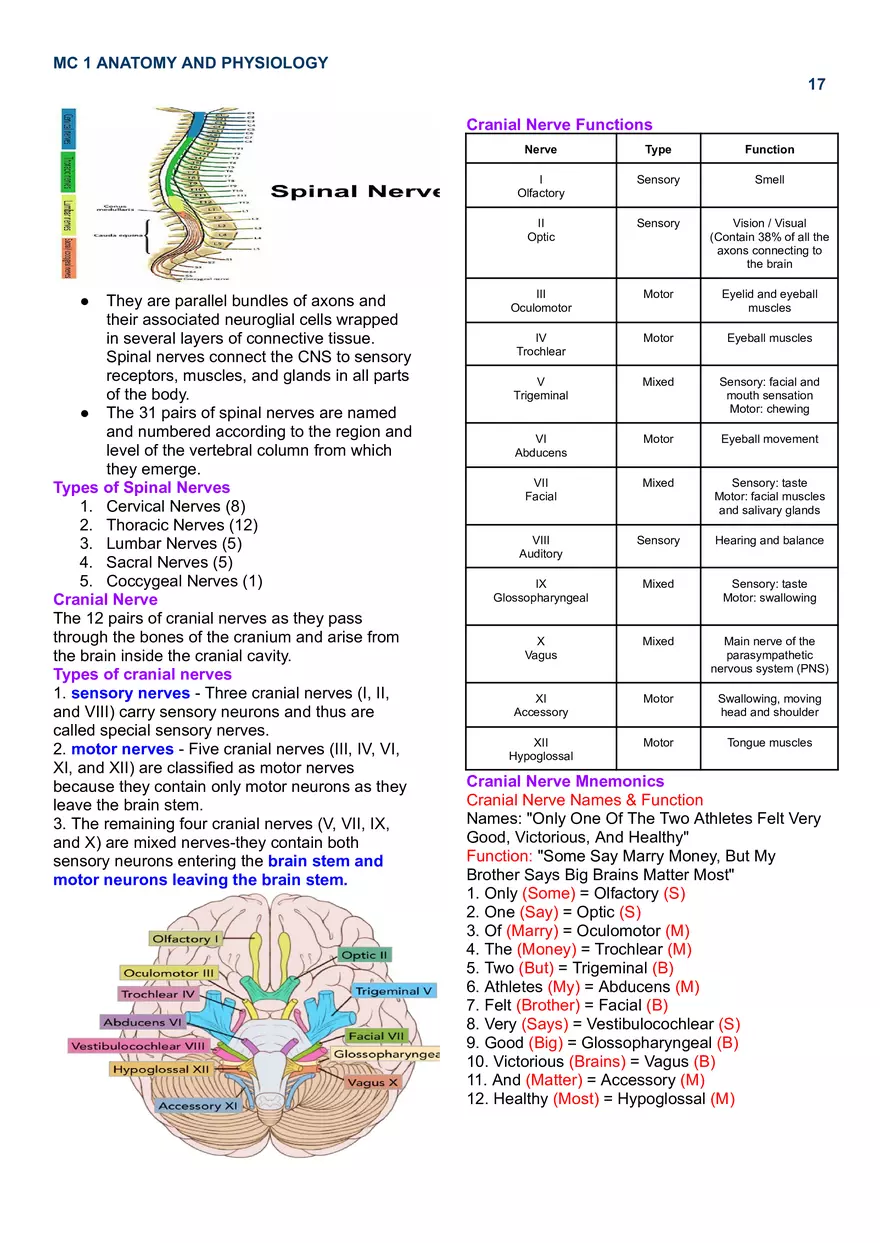 MC 1 Nervous System - Page 9