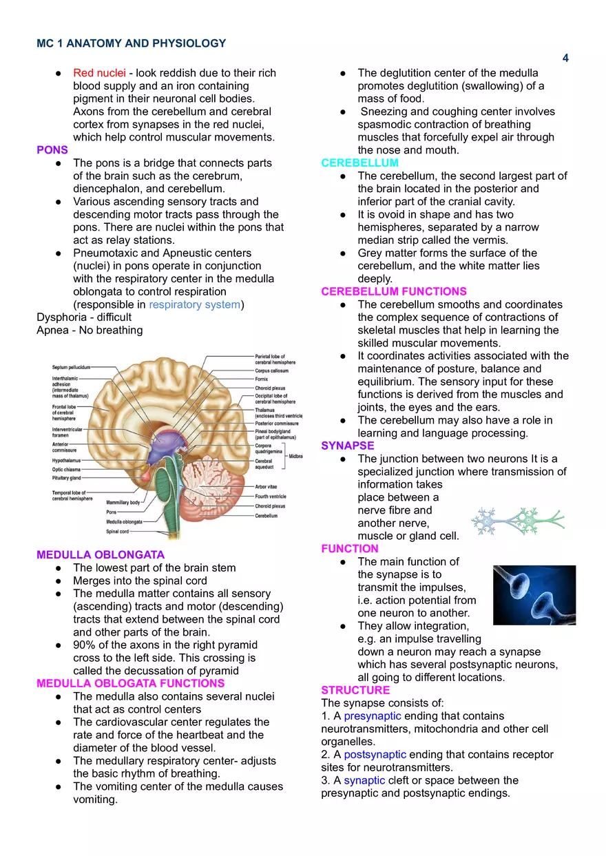 MC 1 Nervous System - Page 11