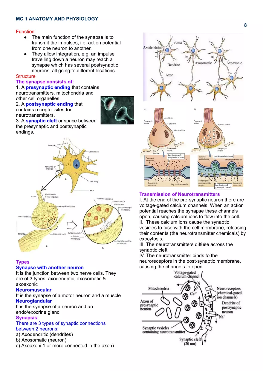 MC 1 Nervous System - Page 15