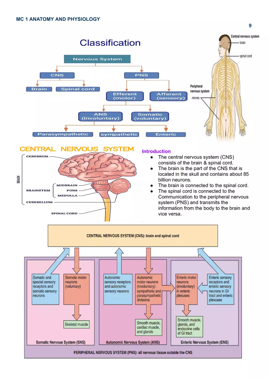 MC 1 Nervous System - Page 16