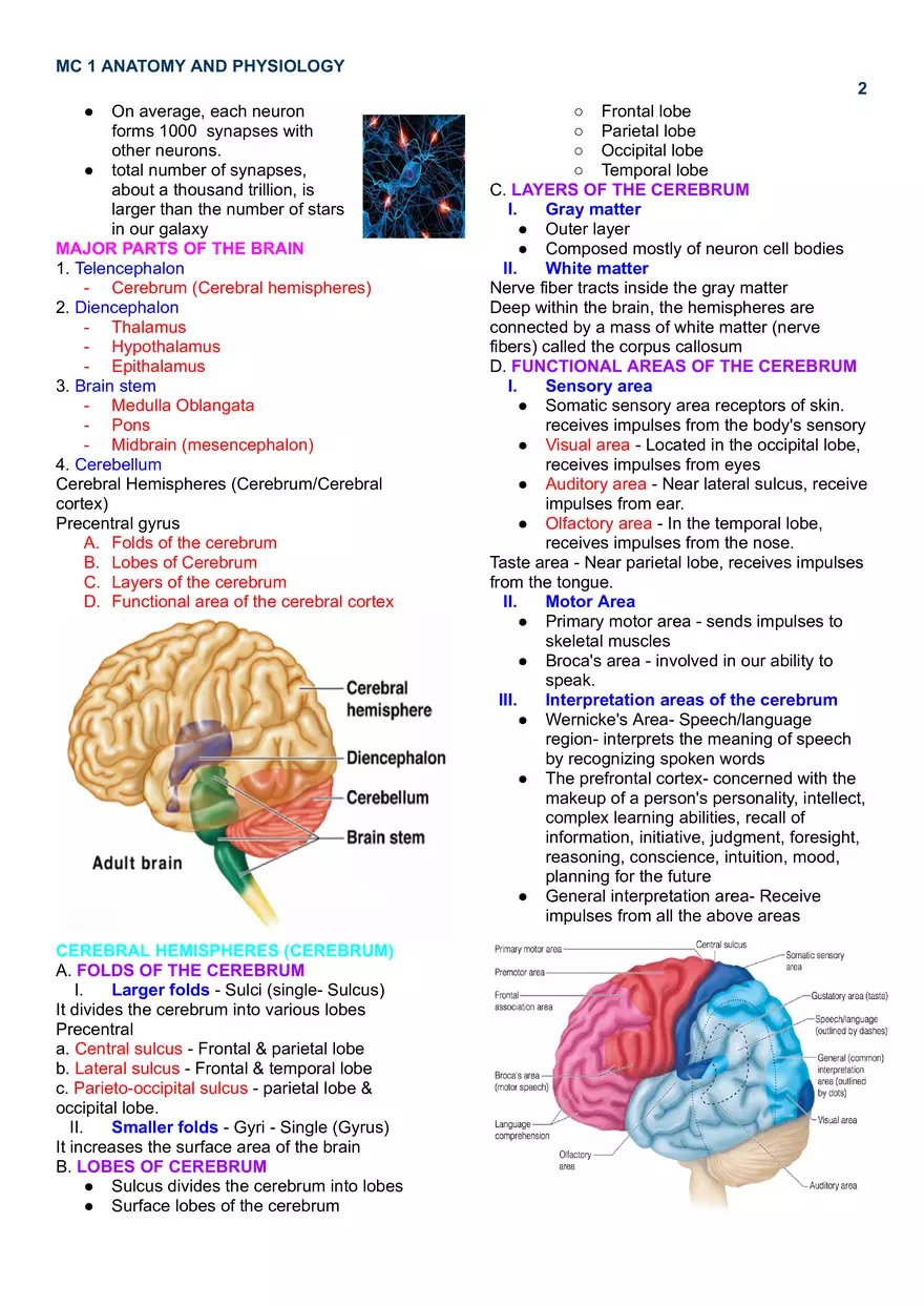 MC 1 Nervous System - Page 2