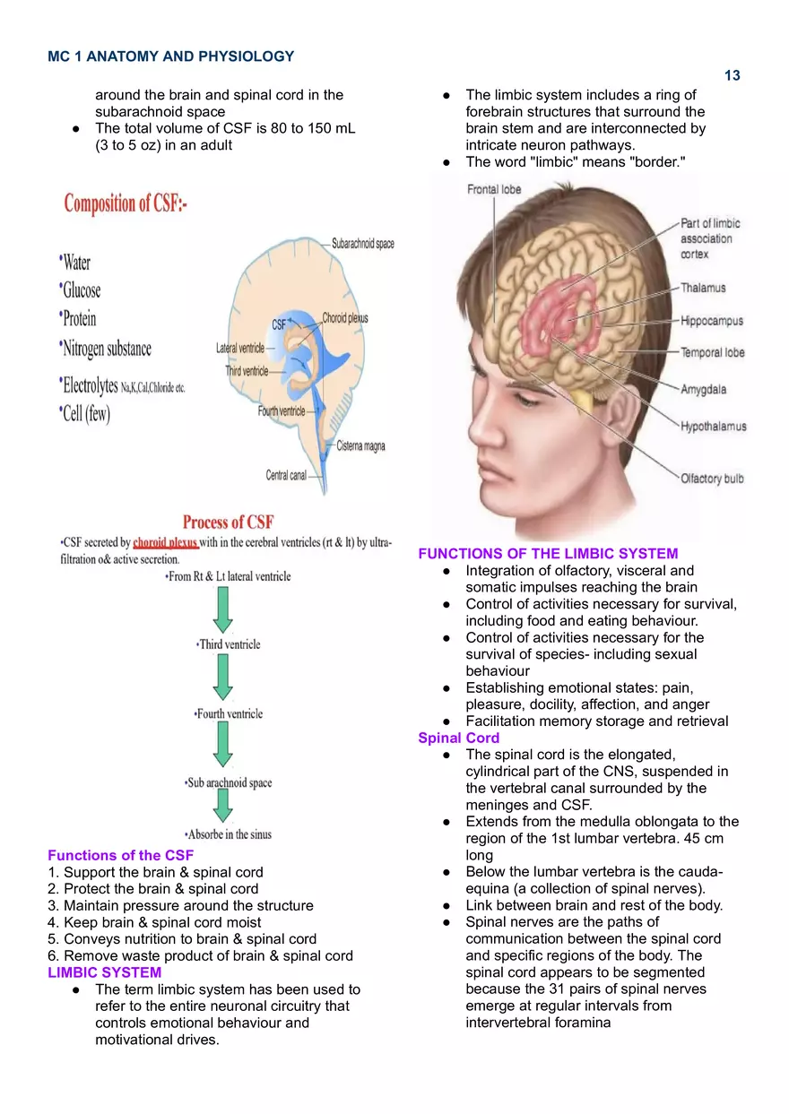 MC 1 Nervous System - Page 5