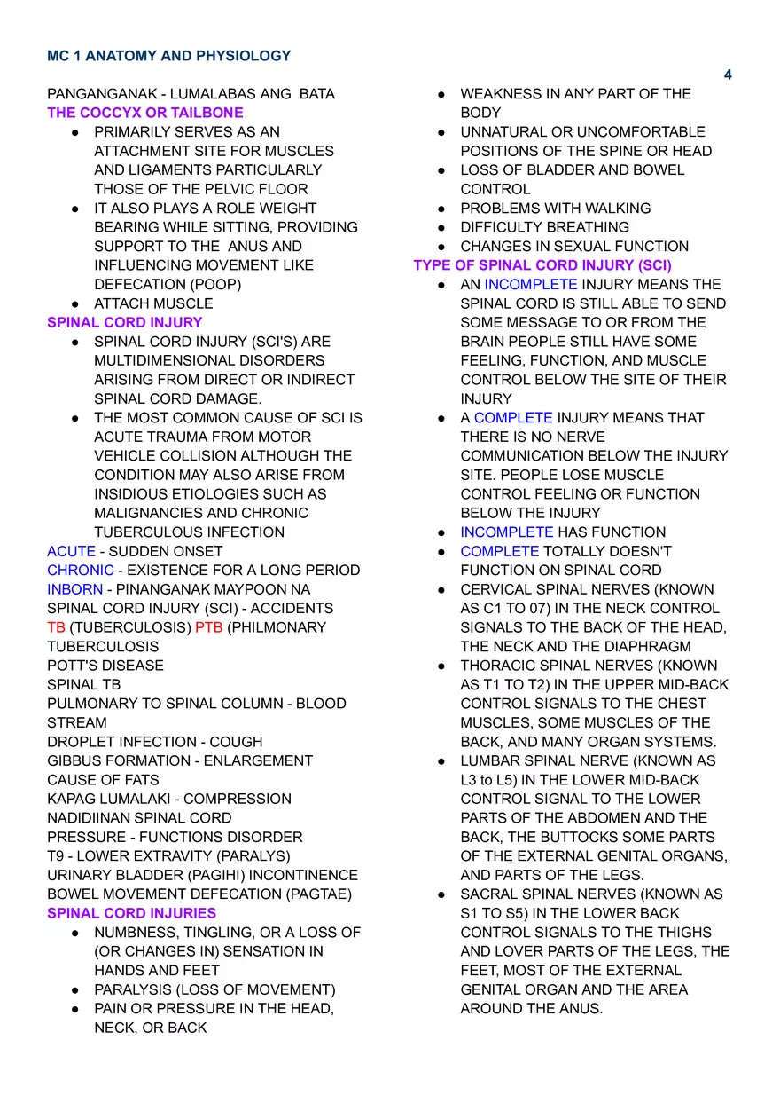 Mc 1 Spinal Cord - Page 4