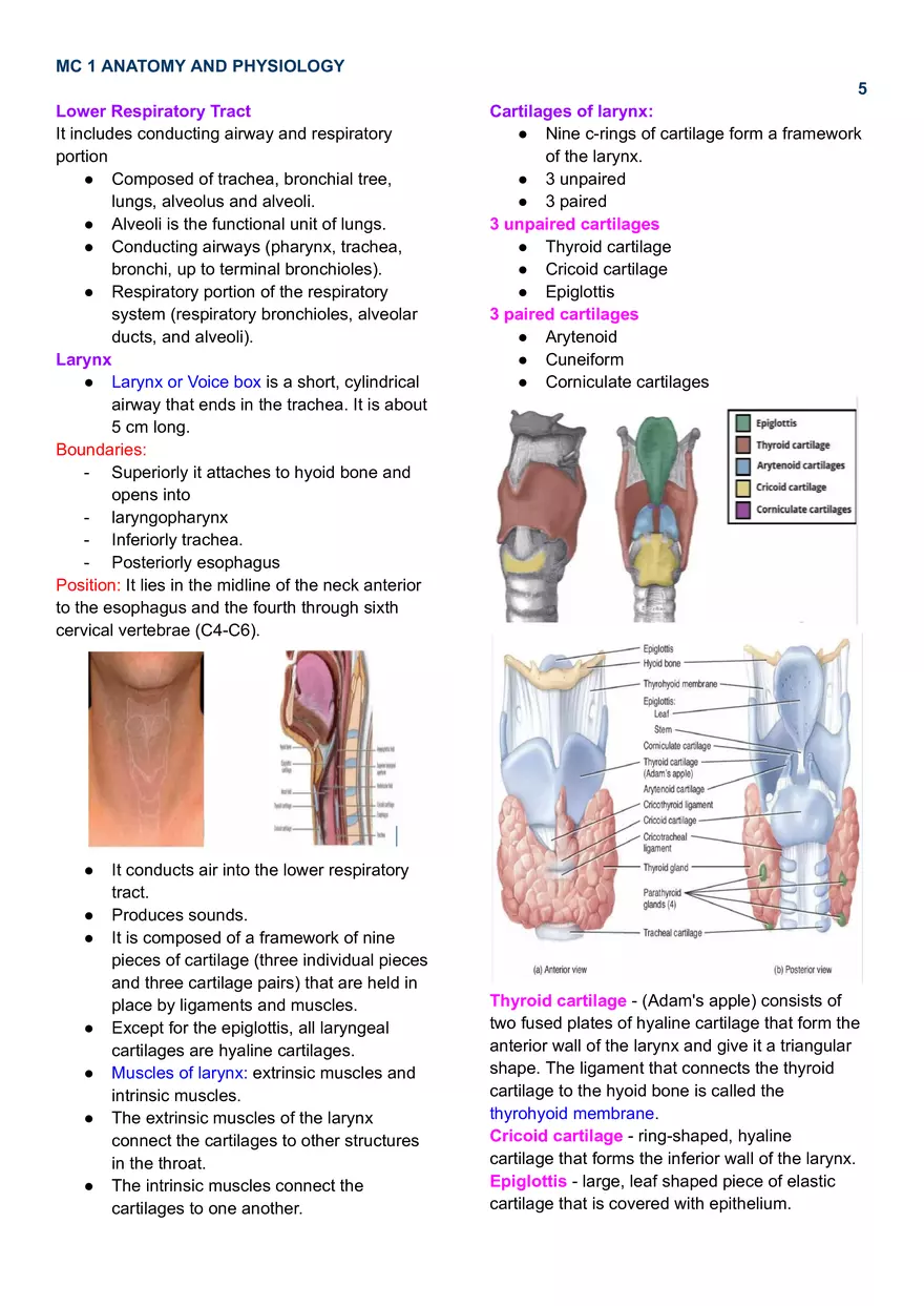 MC 1 Respiratory System - Page 7