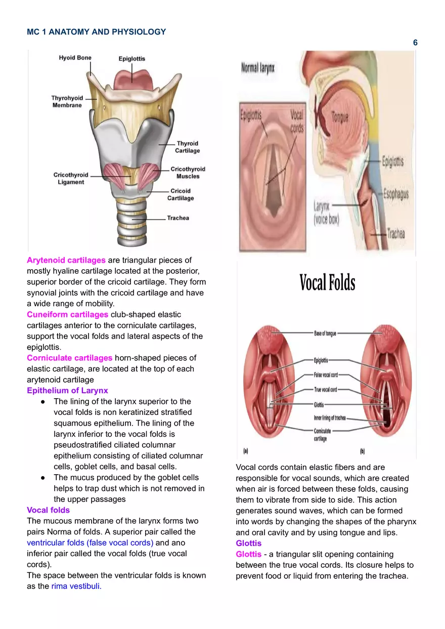 MC 1 Respiratory System - Page 8