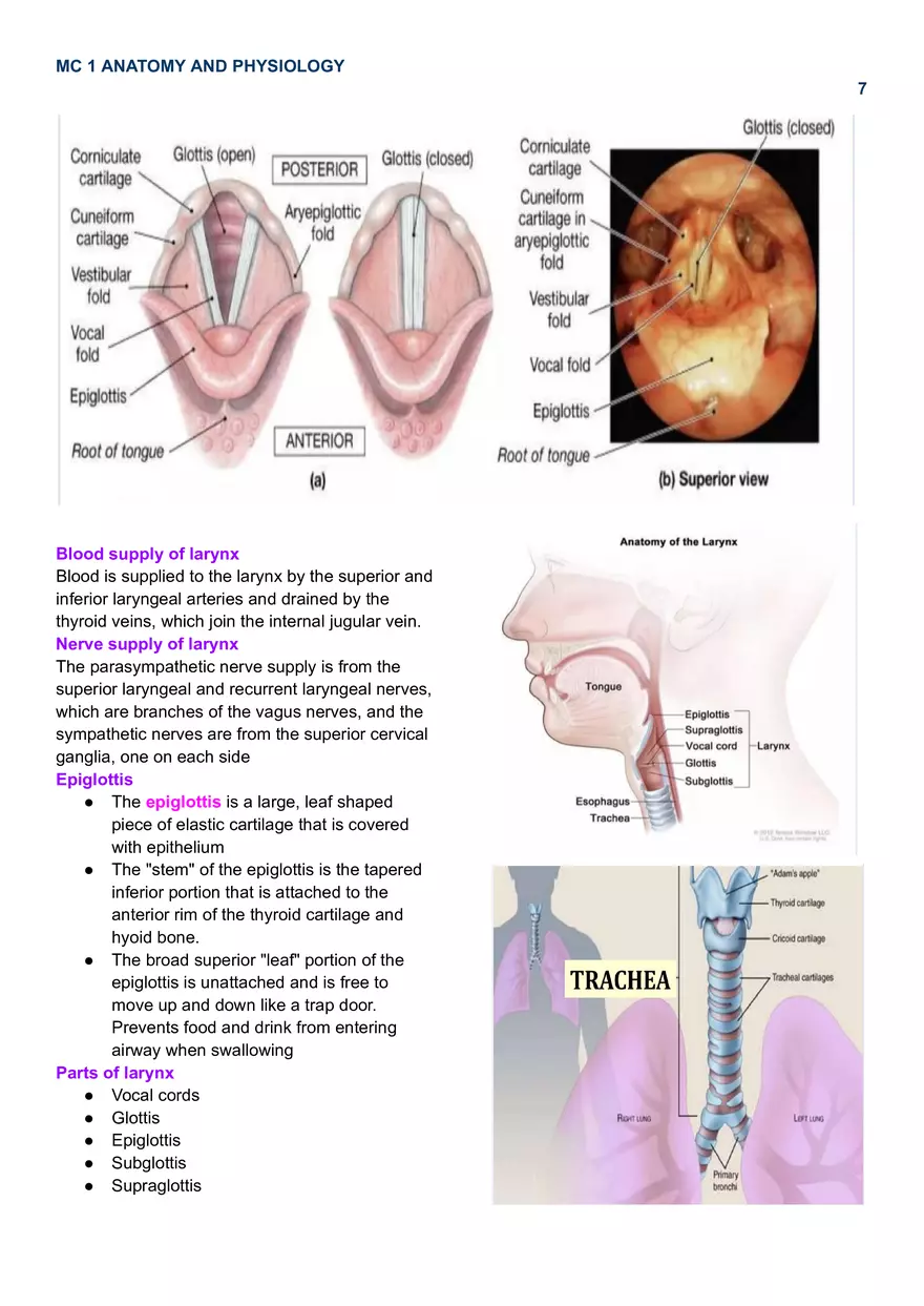 MC 1 Respiratory System - Page 9