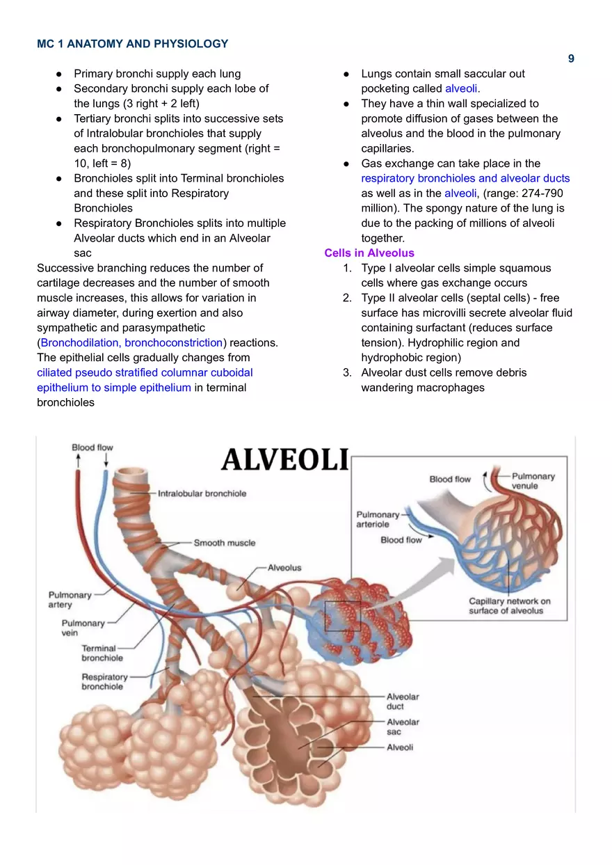 MC 1 Respiratory System - Page 11