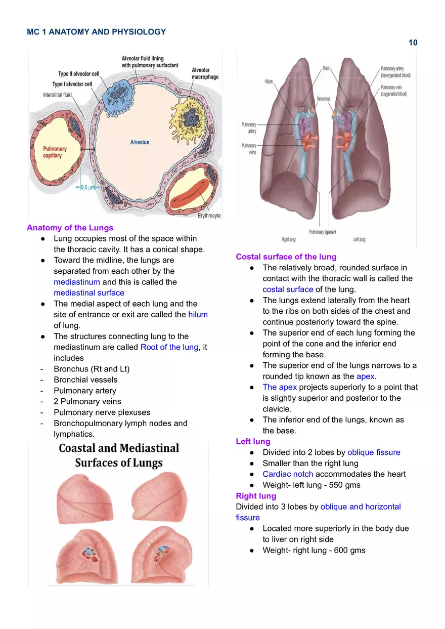 MC 1 Respiratory System - Page 12