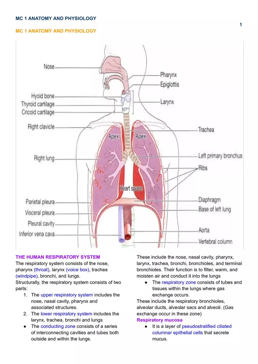 MC 1 Respiratory System - Page 1
