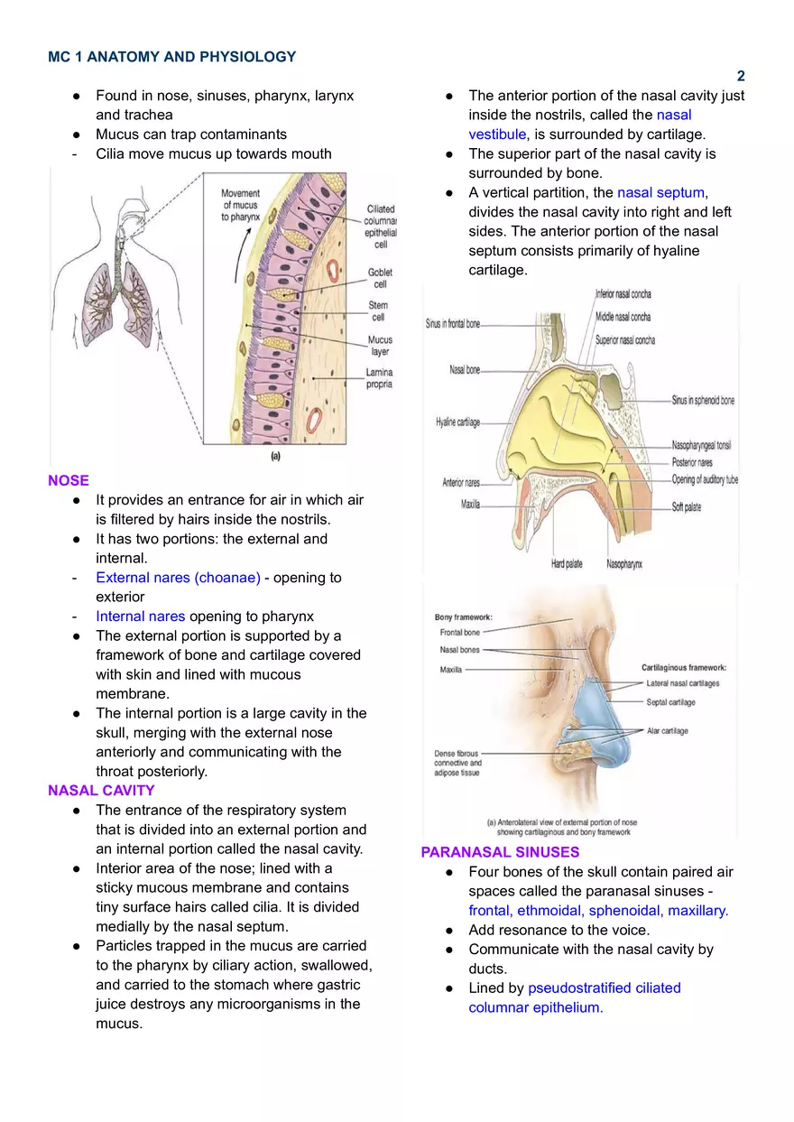 MC 1 Respiratory System - Page 2