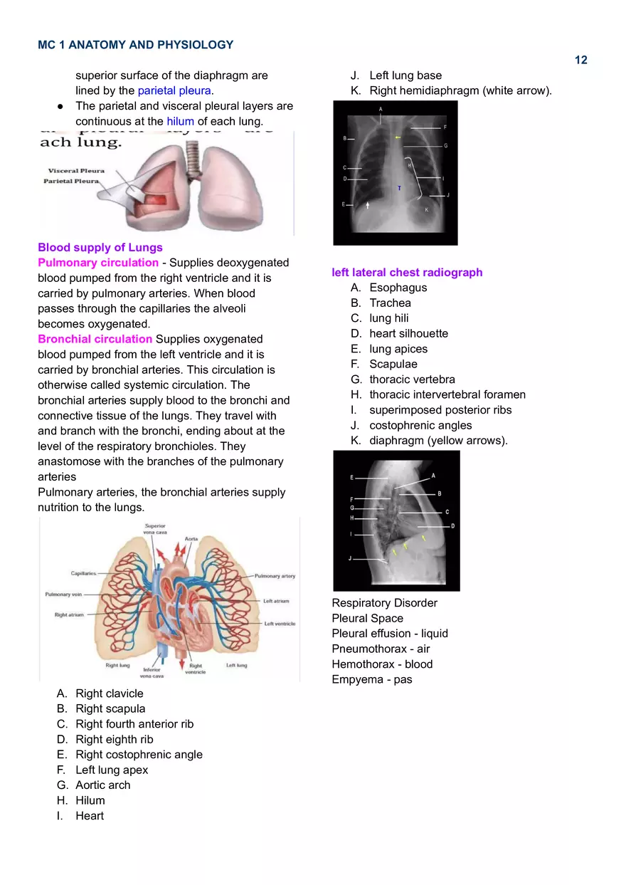 MC 1 Respiratory System - Page 4