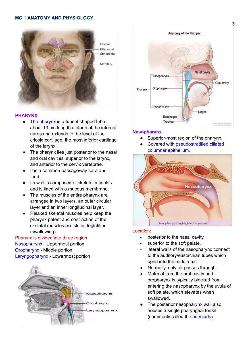 MC 1 Respiratory System - Page 5