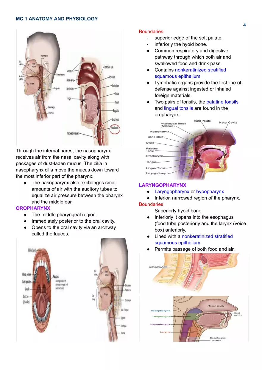 MC 1 Respiratory System - Page 6
