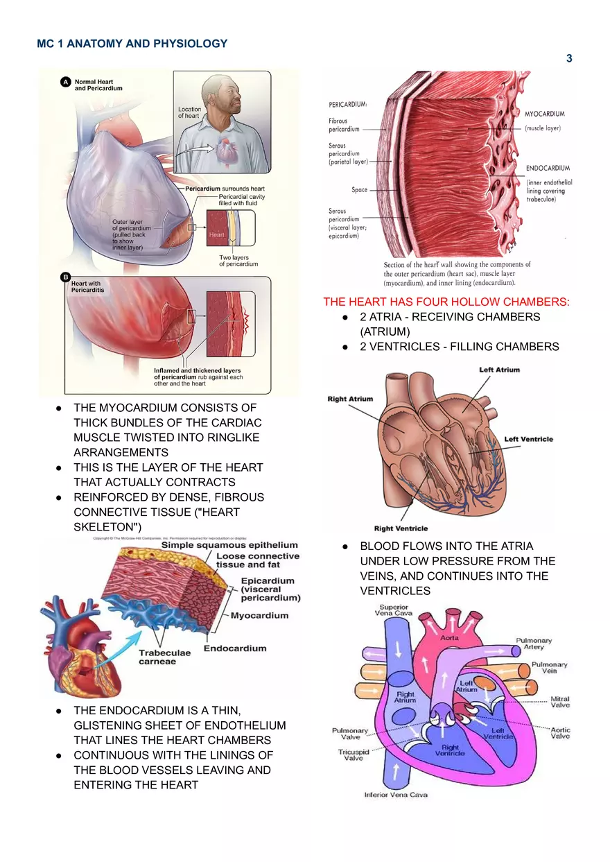 MC 1 Cardiovascular System - Page 7