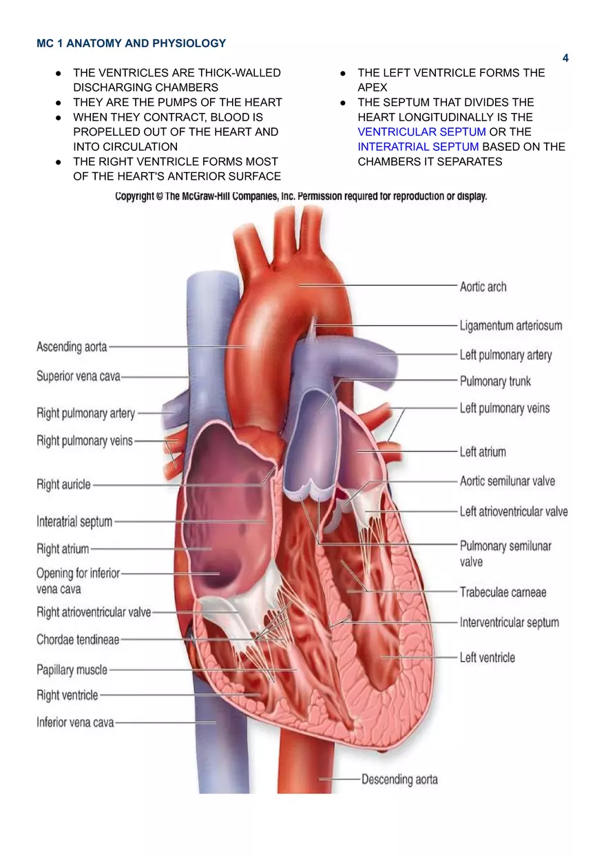 MC 1 Cardiovascular System - Page 8