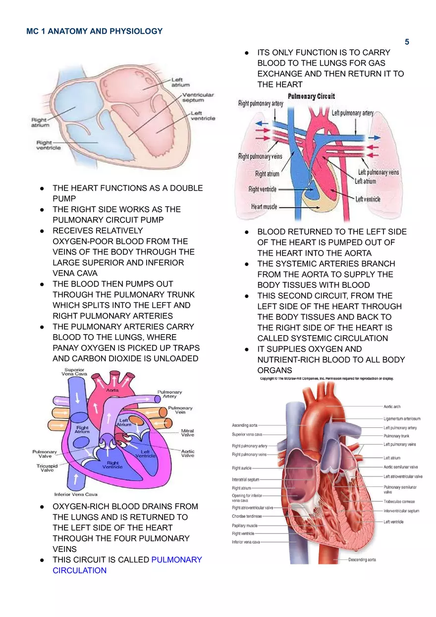 MC 1 Cardiovascular System - Page 9