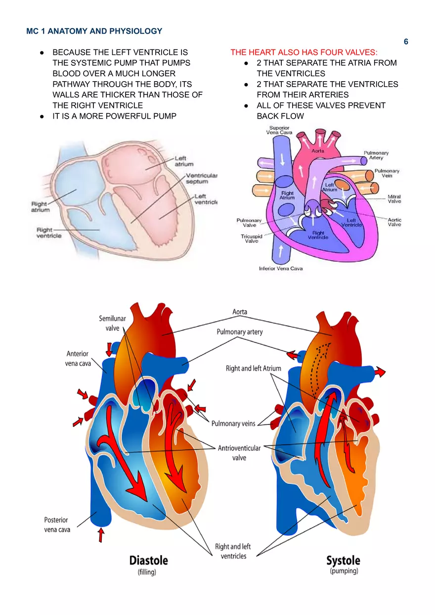 MC 1 Cardiovascular System - Page 10