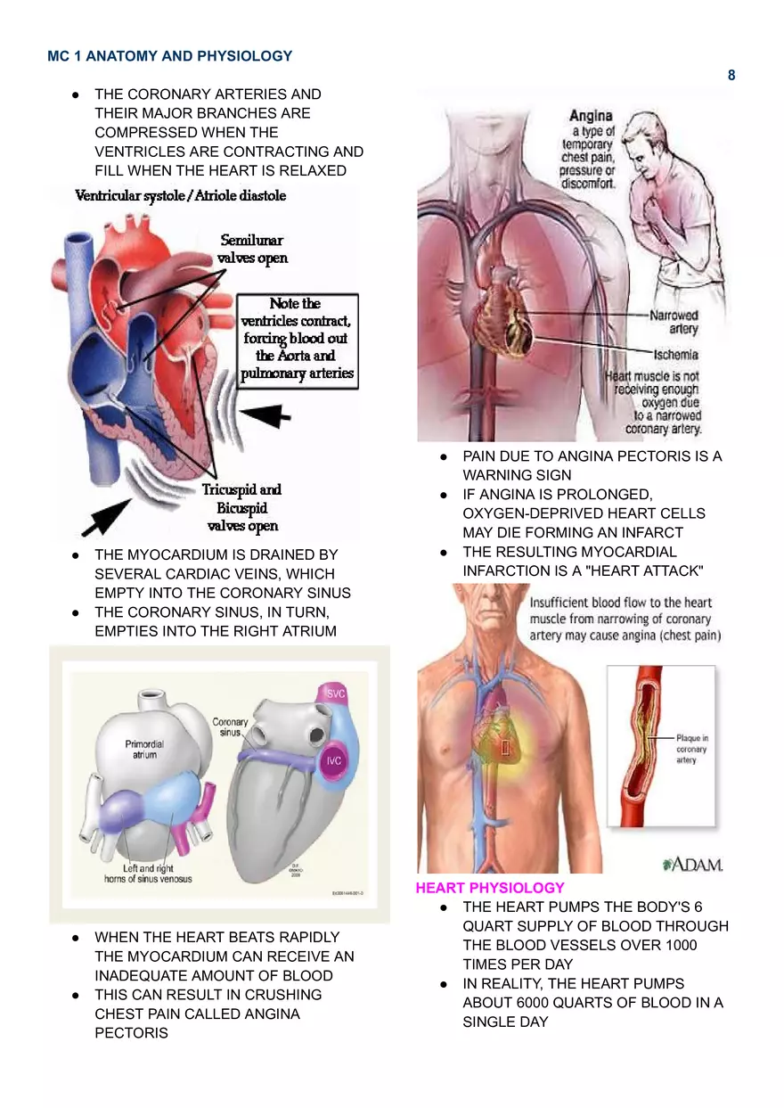 MC 1 Cardiovascular System - Page 12