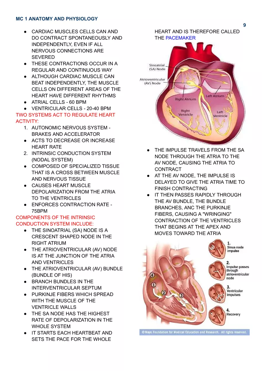 MC 1 Cardiovascular System - Page 13