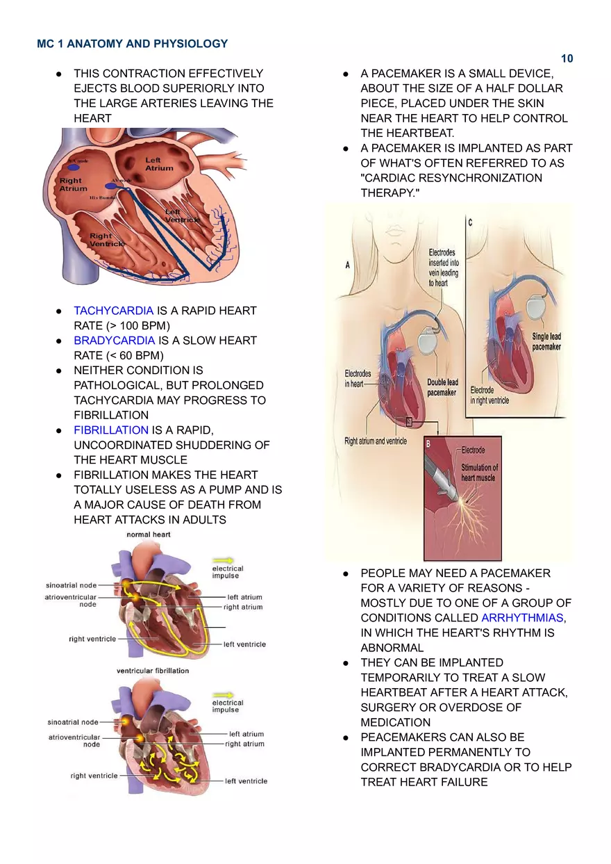 MC 1 Cardiovascular System - Page 14