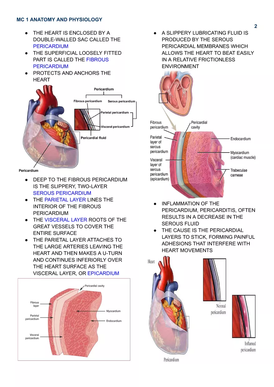 MC 1 Cardiovascular System - Page 2