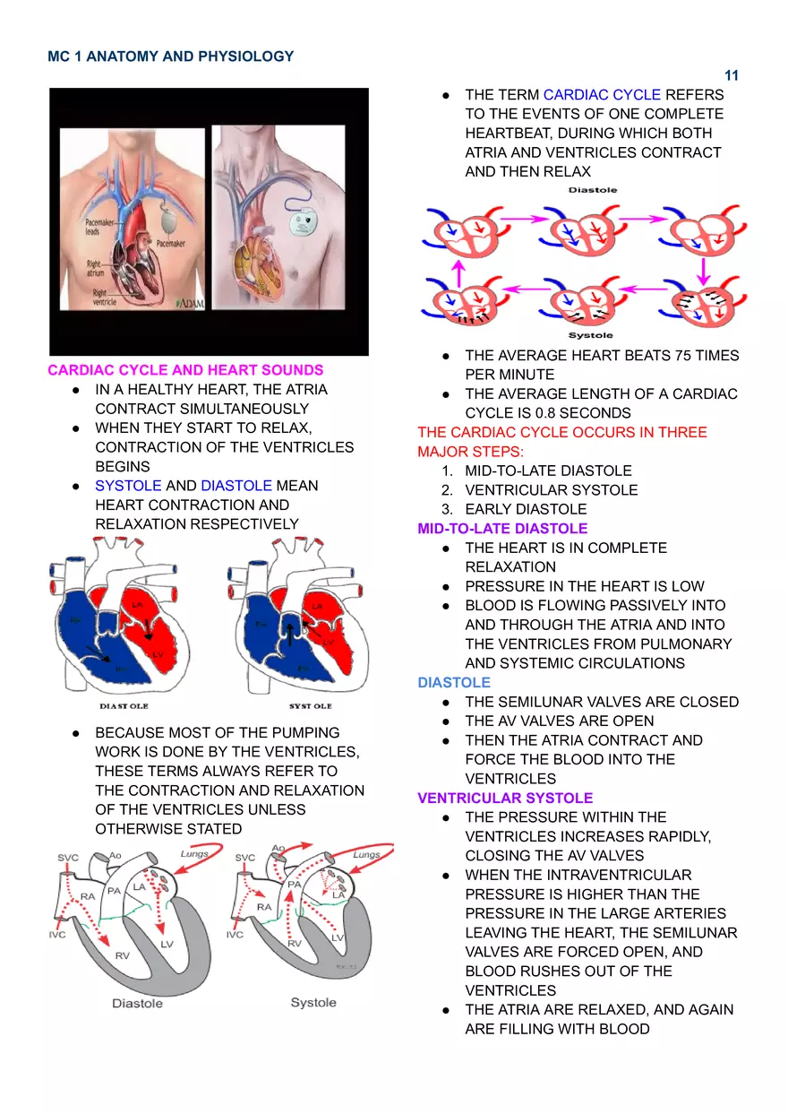 MC 1 Cardiovascular System - Page 3