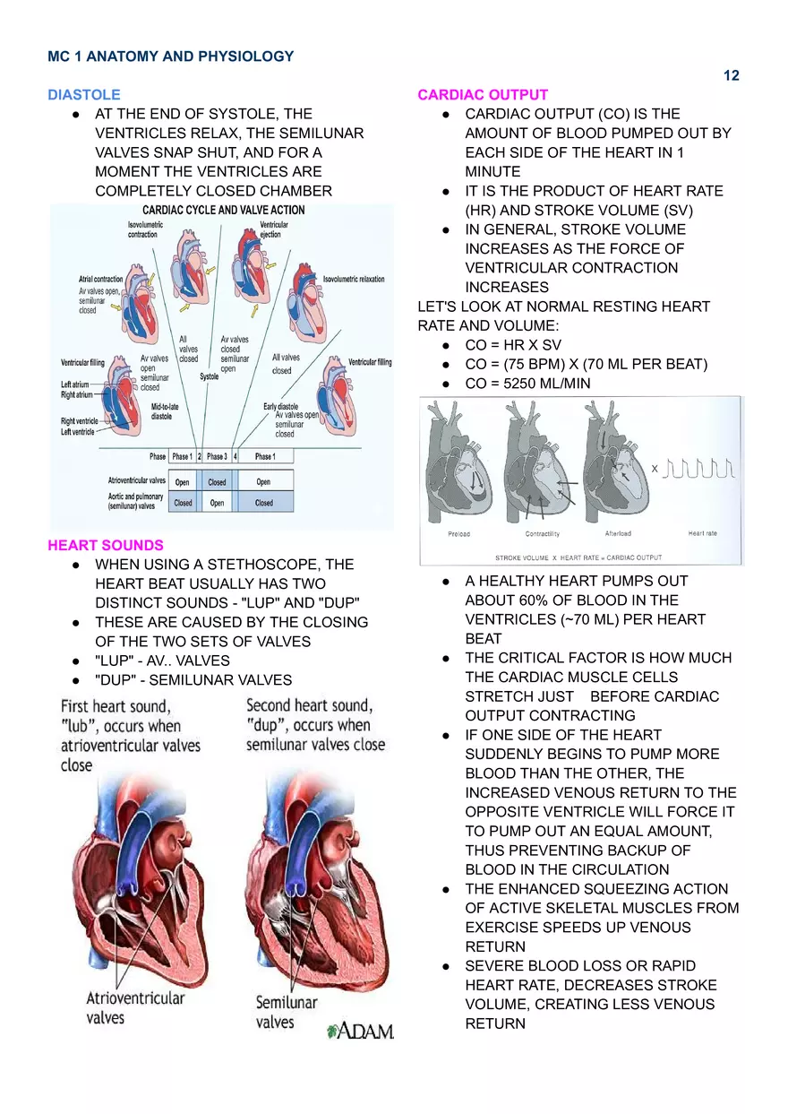 MC 1 Cardiovascular System - Page 4