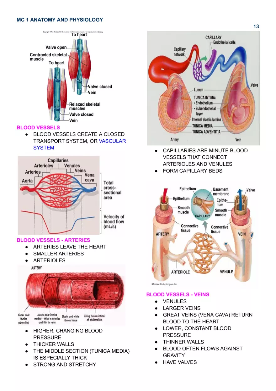 MC 1 Cardiovascular System - Page 5