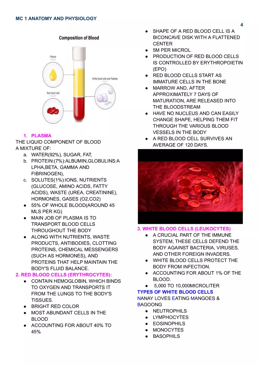 MC 1 Endocrine System - Page 4