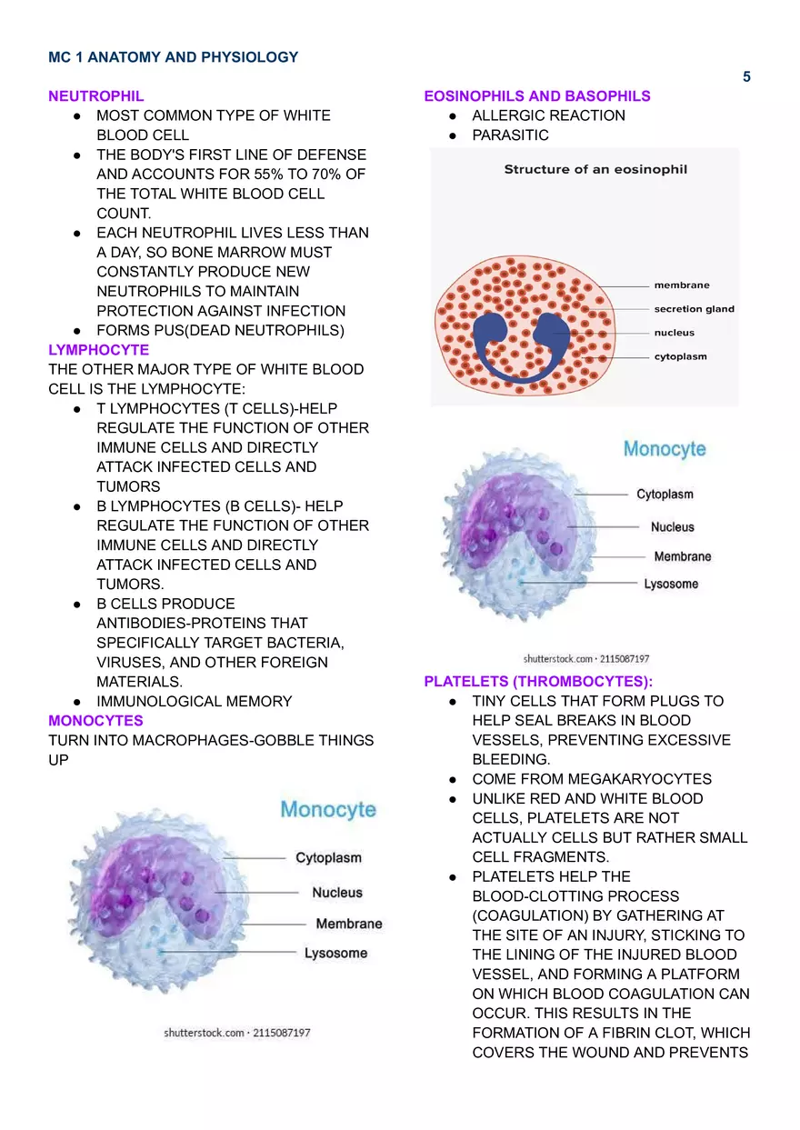 MC 1 Endocrine System - Page 5