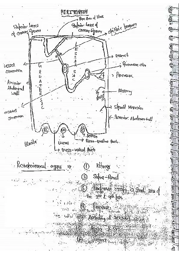 Peritoneum Textbook Notes - Page 1