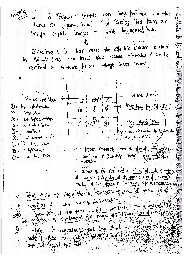 Peritoneum Textbook Notes - Page 3