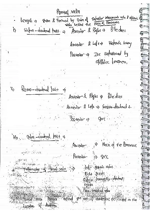 Portal Vein Study Resources - Page 1