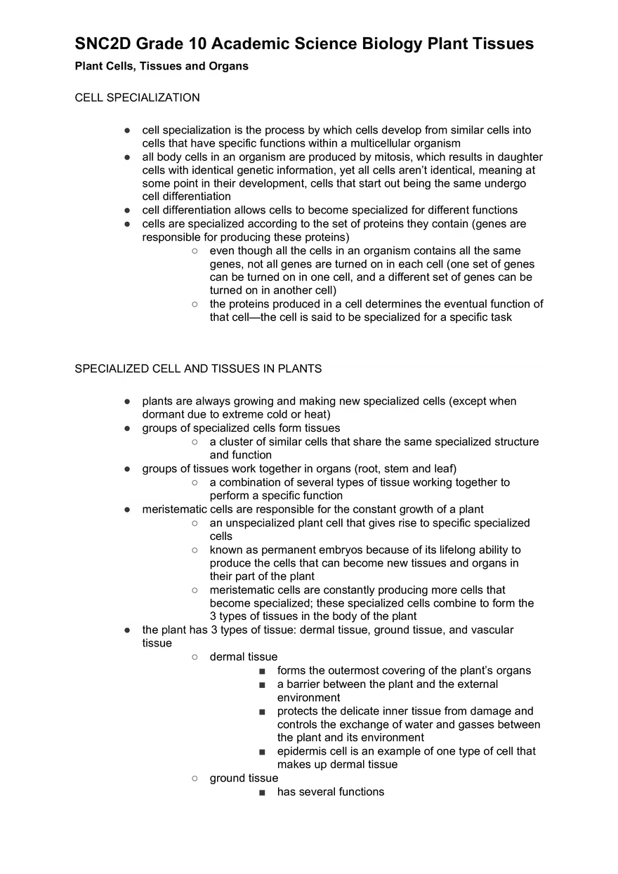 Academic Science Biology Plant Tissues - Page 1