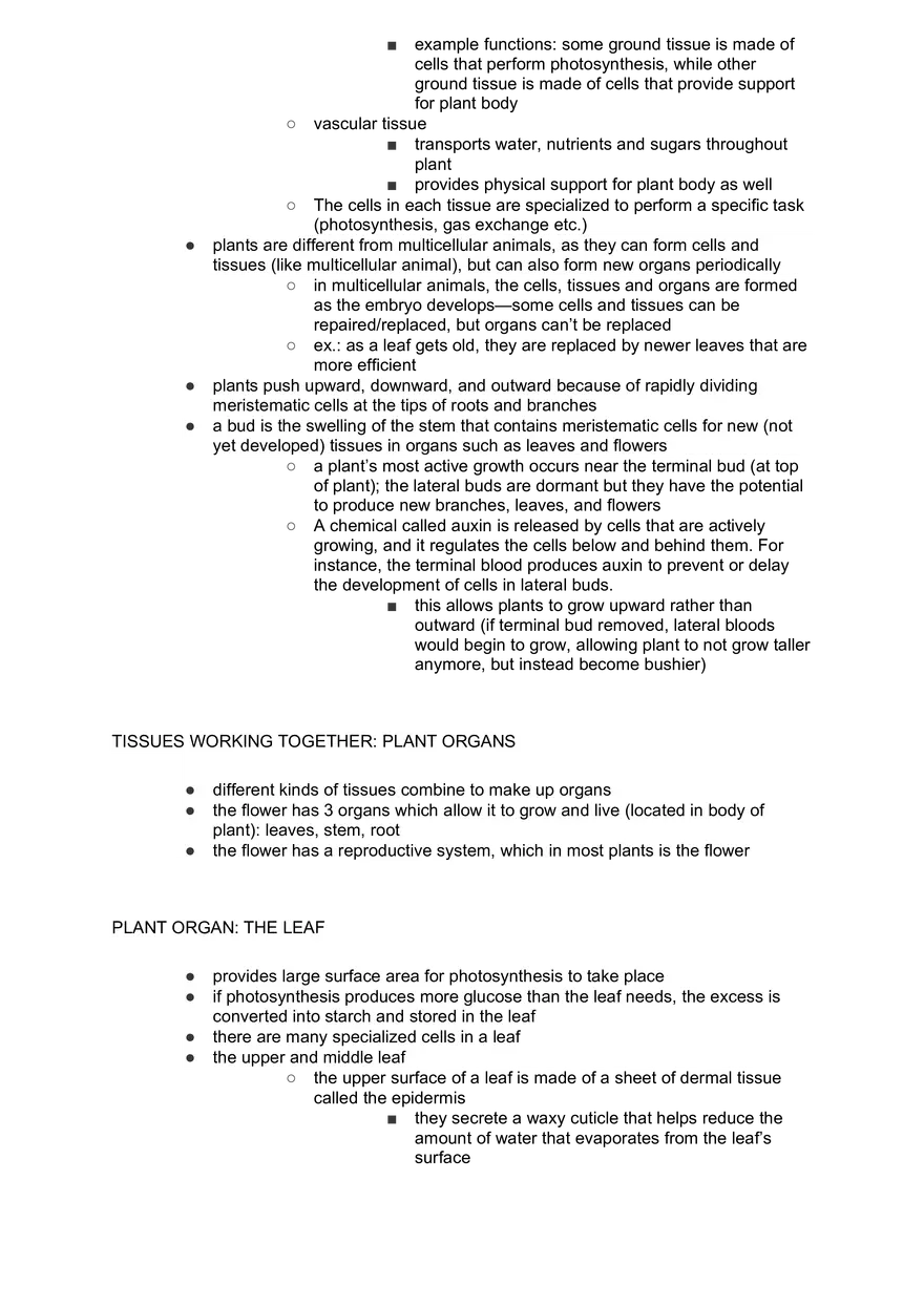 Academic Science Biology Plant Tissues - Page 2